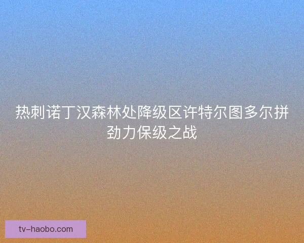 热刺诺丁汉森林处降级区许特尔图多尔拼劲力保级之战 热刺诺丁汉森林处降级区许特尔图多尔拼劲力保级之战
