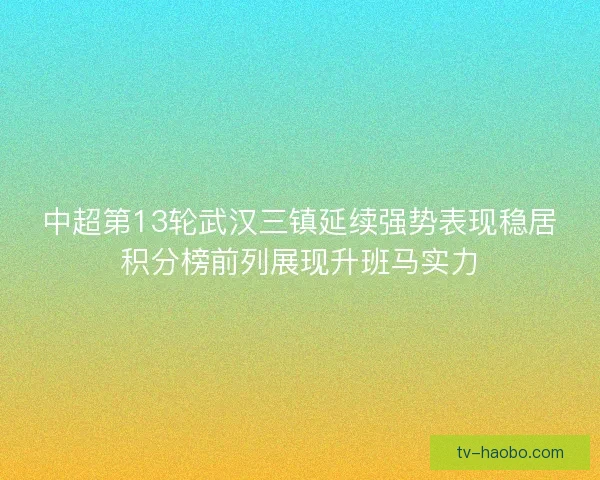 中超第13轮武汉三镇延续强势表现稳居积分榜前列展现升班马实力