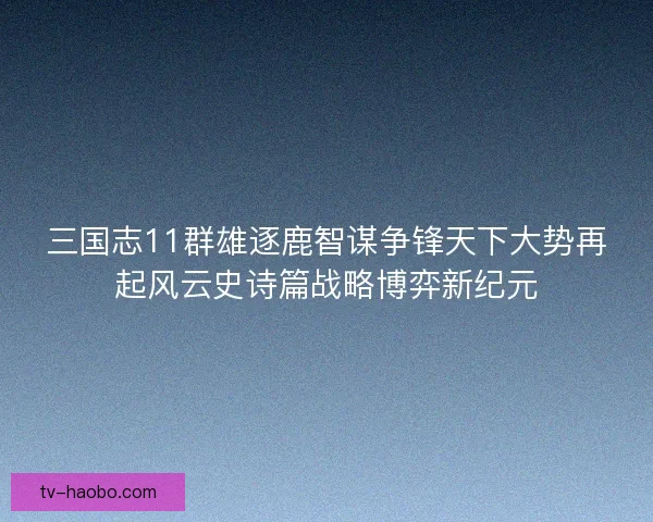 三国志11群雄逐鹿智谋争锋天下大势再起风云史诗篇战略博弈新纪元 三国志11群雄逐鹿智谋争锋天下大势再起风云史诗篇战略博弈新纪元